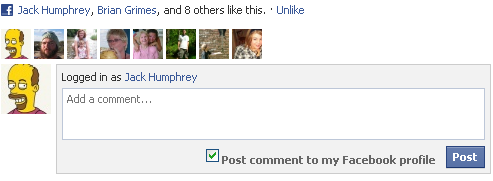facebook comments plugin
