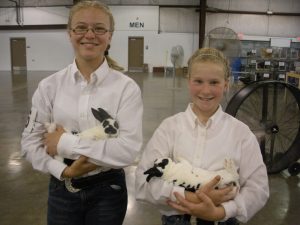 4h fair, wayne county fairgrounds, rabbit show, mini-rex